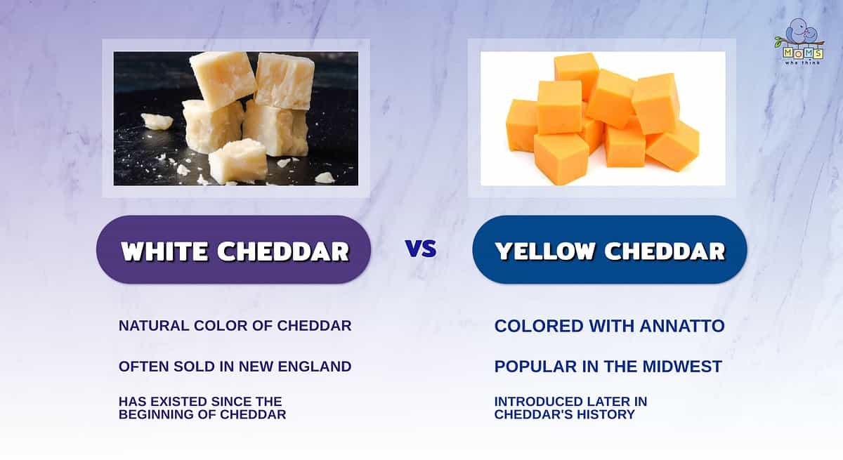 Infographic comparing white and yellow cheddar.