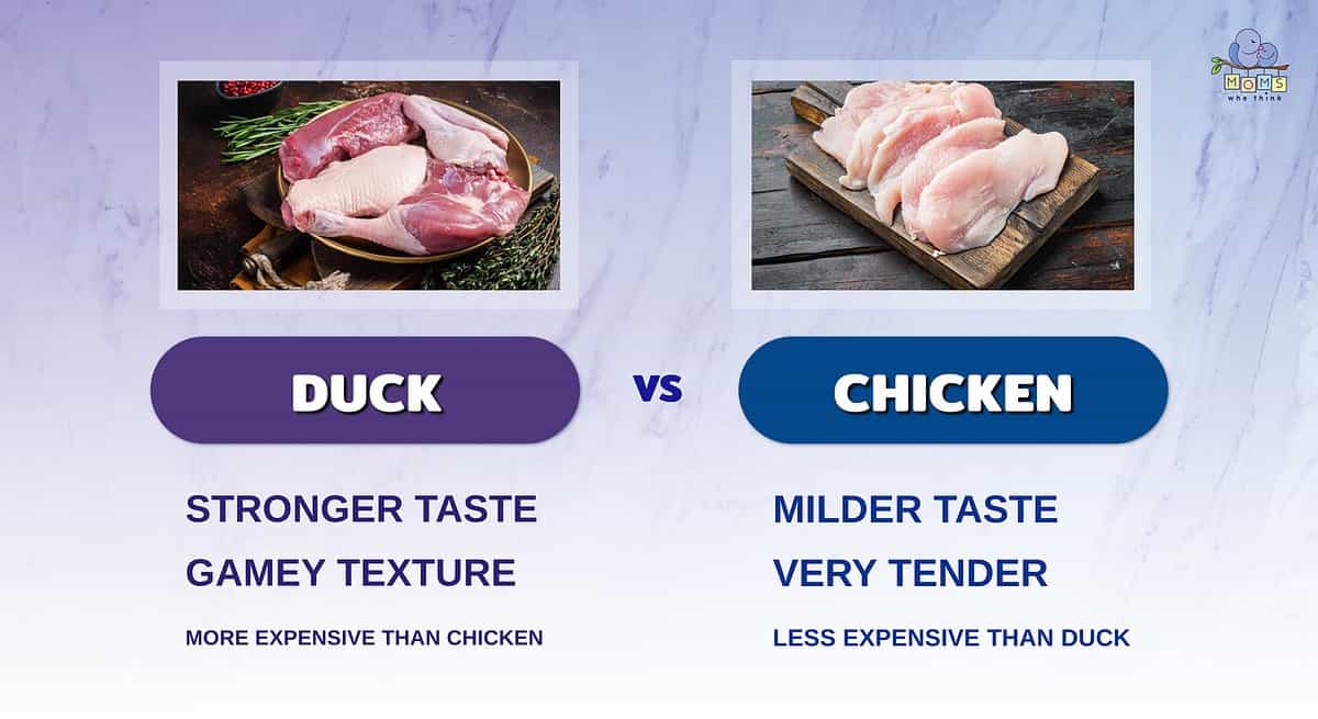 Infographic comparing chicken and duck.