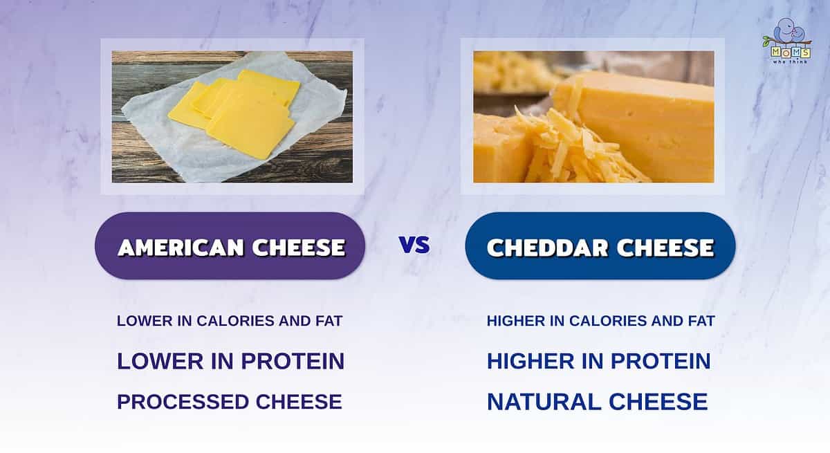 Infographic showing the differences between American and cheddar cheese.