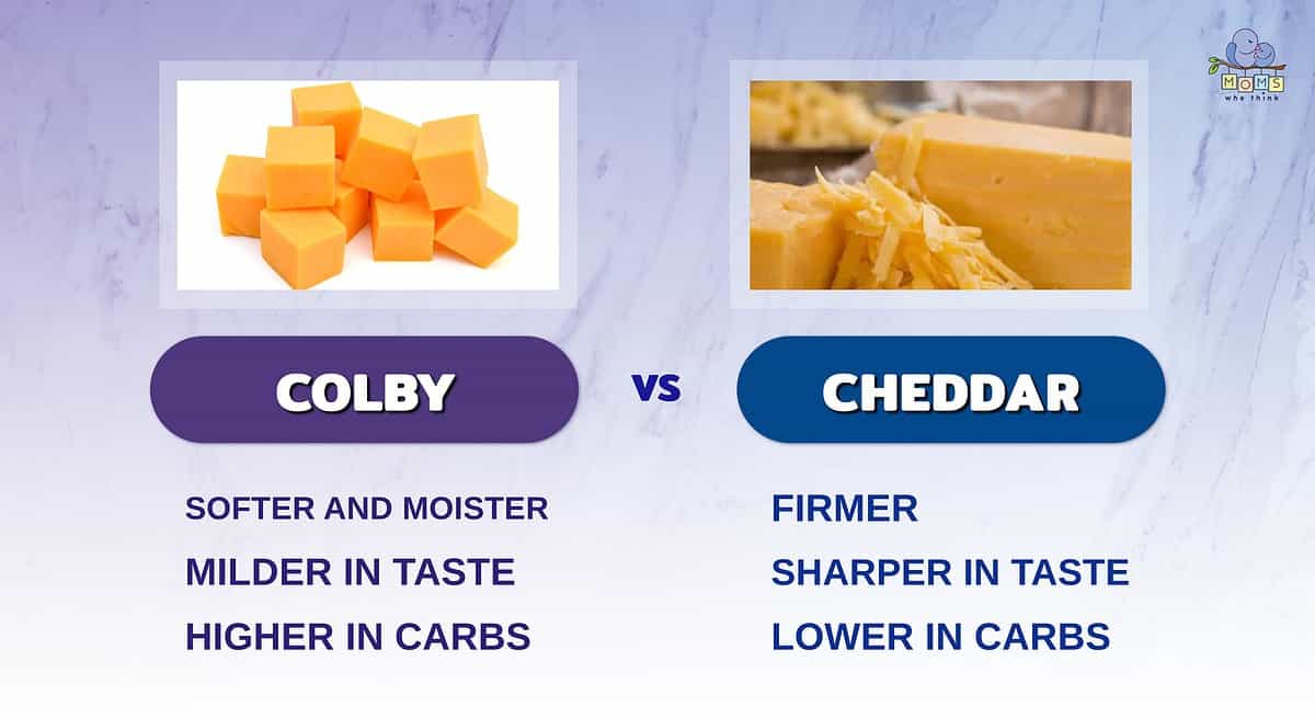 Infographic showing the differences between Colby and cheddar.