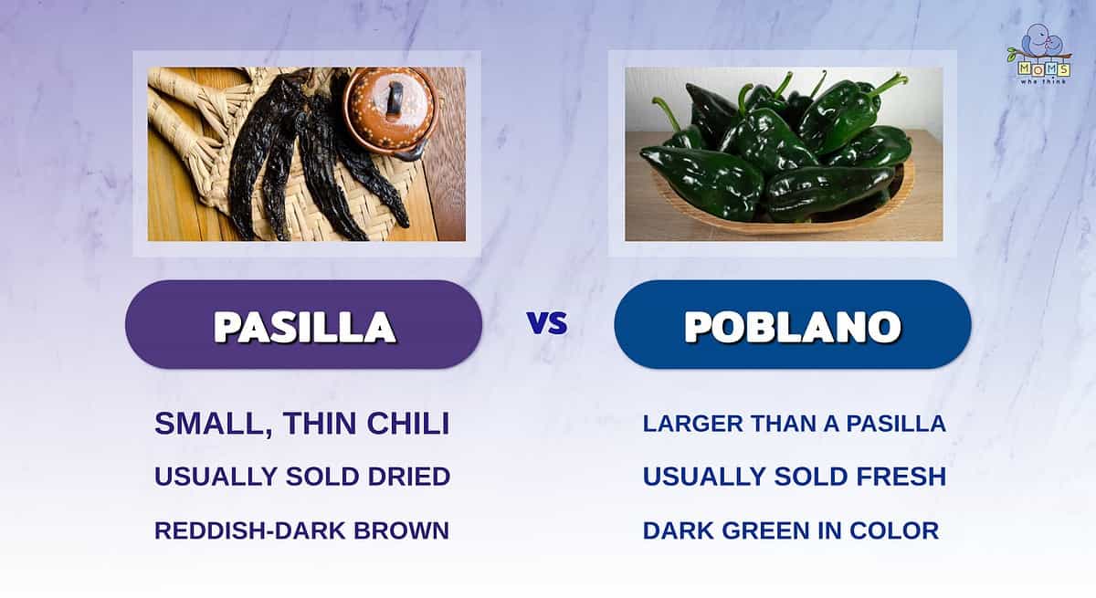 Infographic comparing pasilla and poblano peppers.