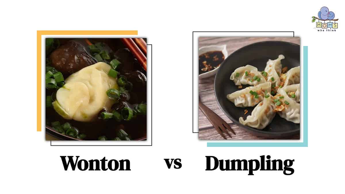 Wonton vs Dumpling