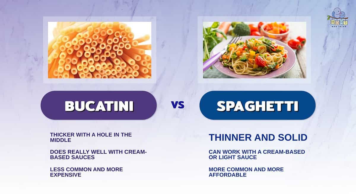 Infographic comparing bucatini and spaghetti.