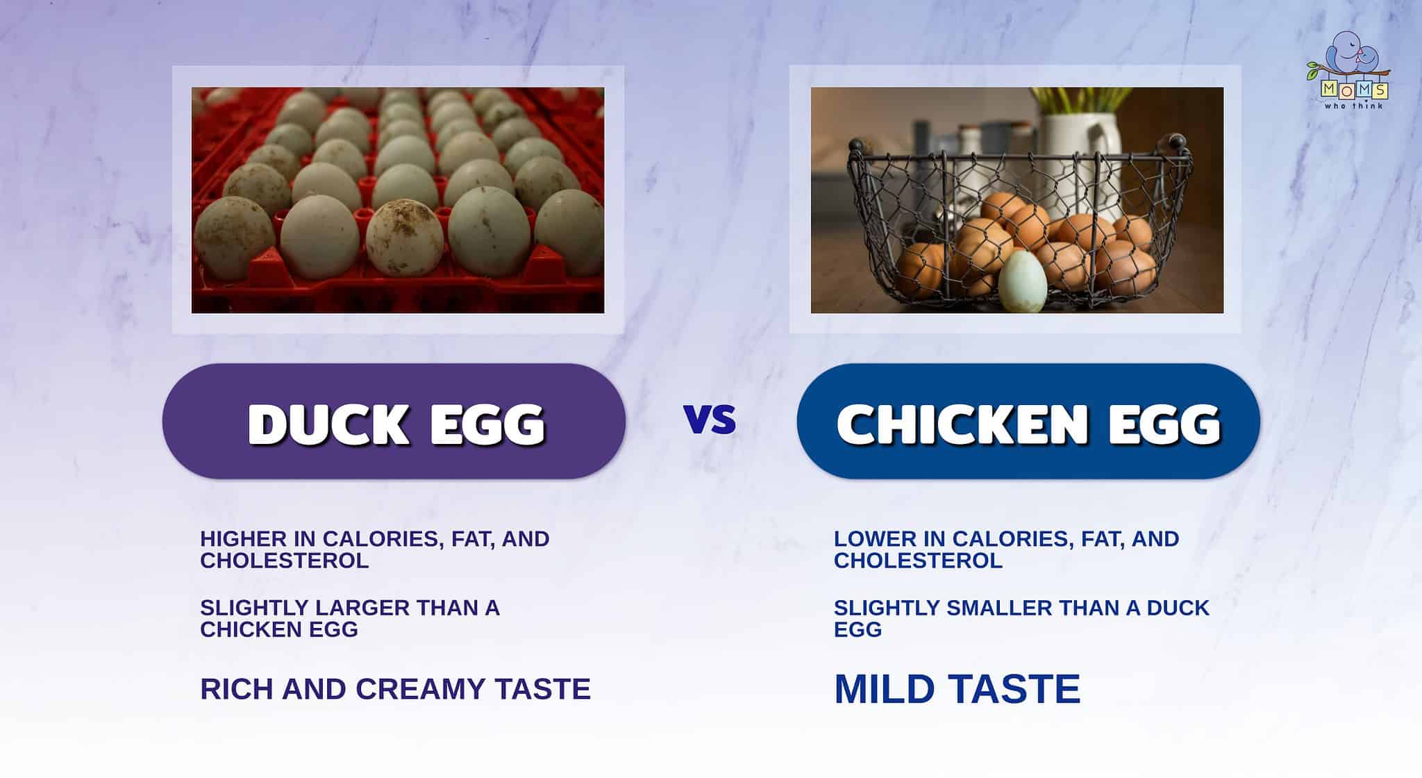 Duck Eggs vs. Chicken Eggs: 3 Key Differences & Nutrition Comparison