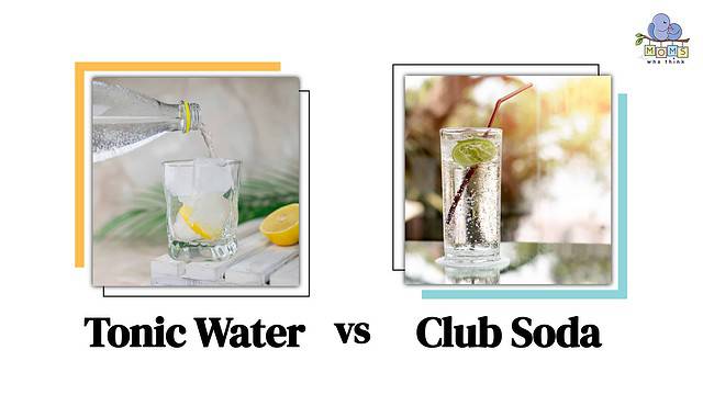 Tonic Water vs Club Soda