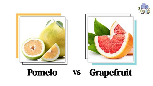 Pomelo vs Grapefruit