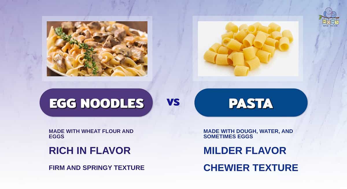 Infographic comparing egg noodles and pasta.