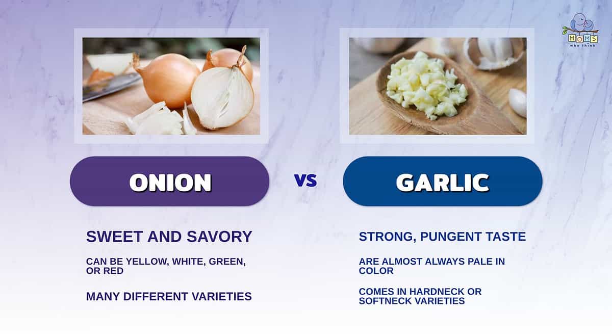Infographic comparing onions and garlic.