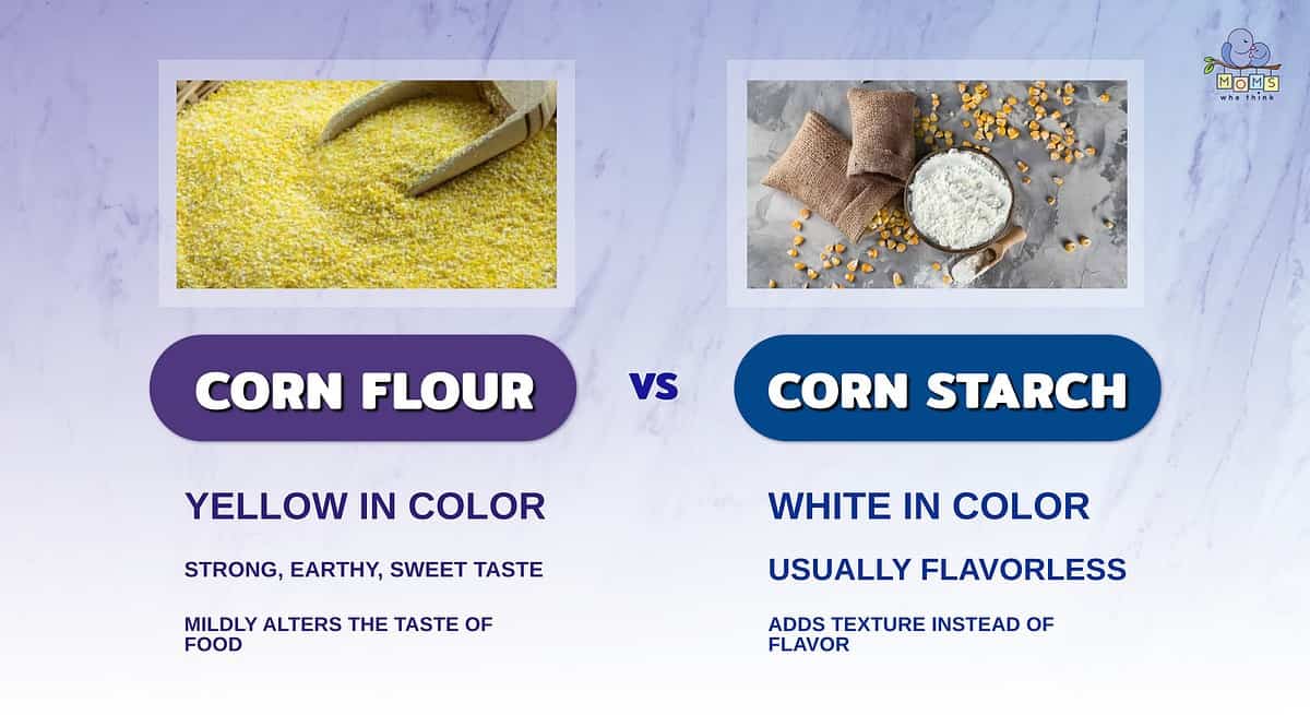 Infographic comparing corn flour and corn starch.