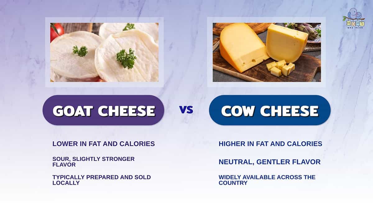 Infographic comparing cow and goat cheese.