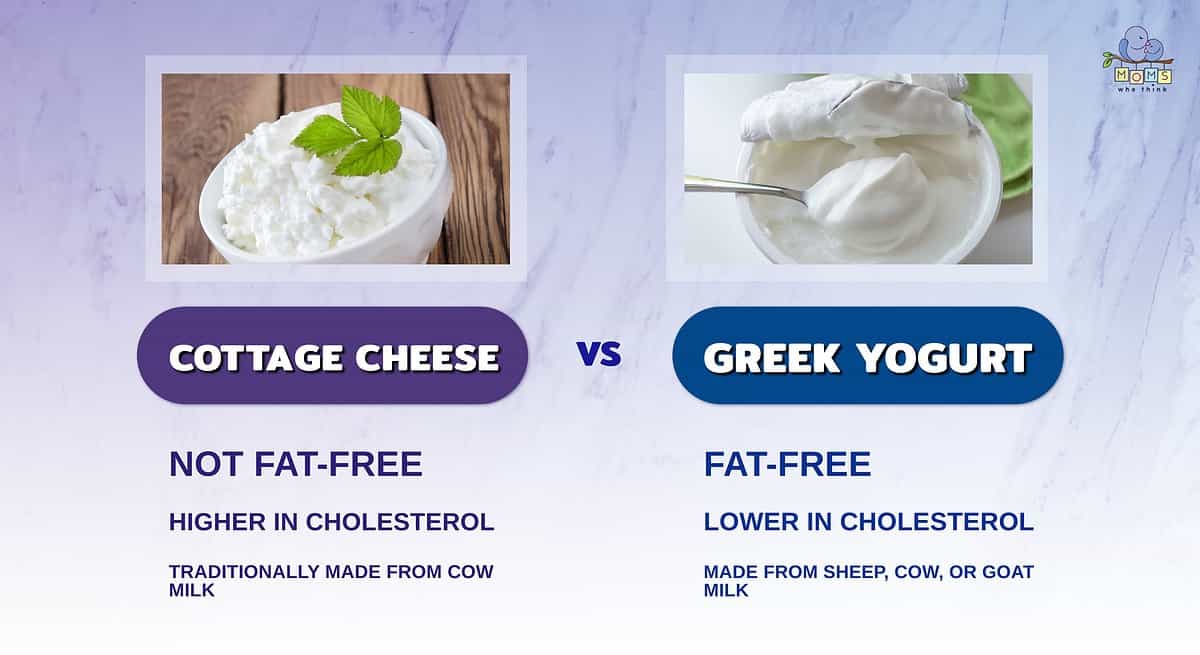 Infographic comparing cottage cheese and Greek yogurt.