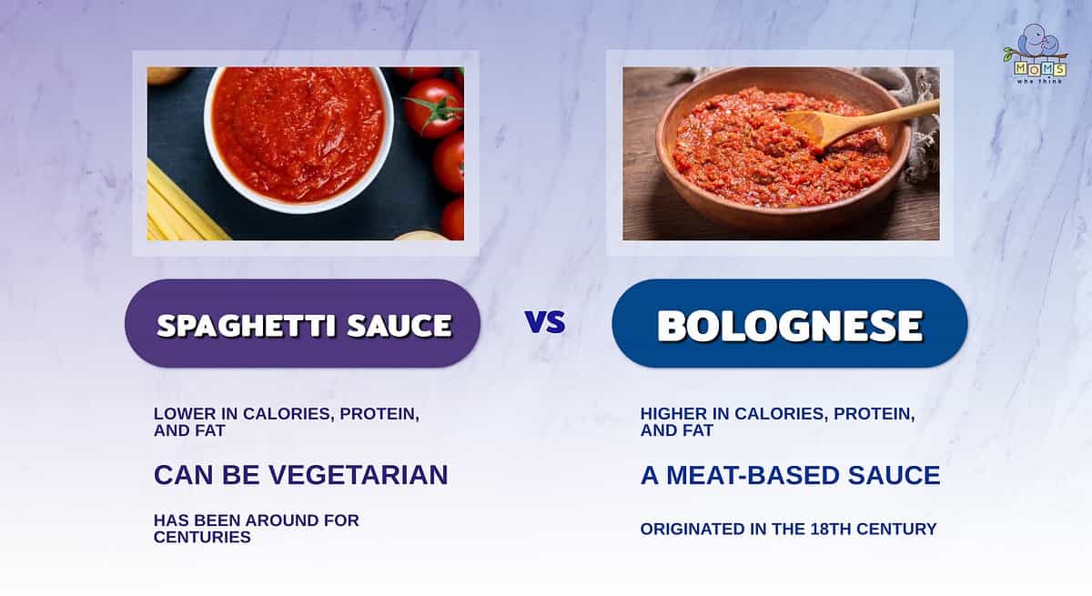 Infographic comparing spaghetti sauce and Bolognese.