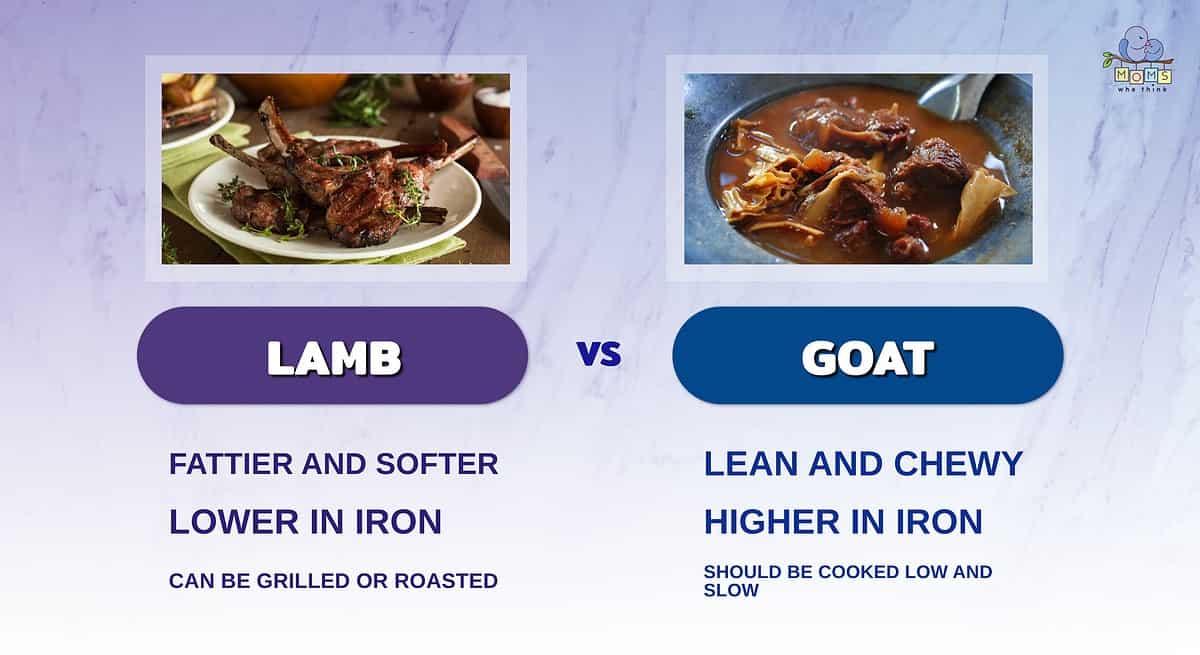 Infographic comparing lamb and goat.