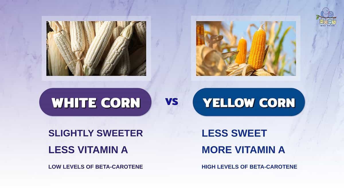 White Corn vs Yellow Corn