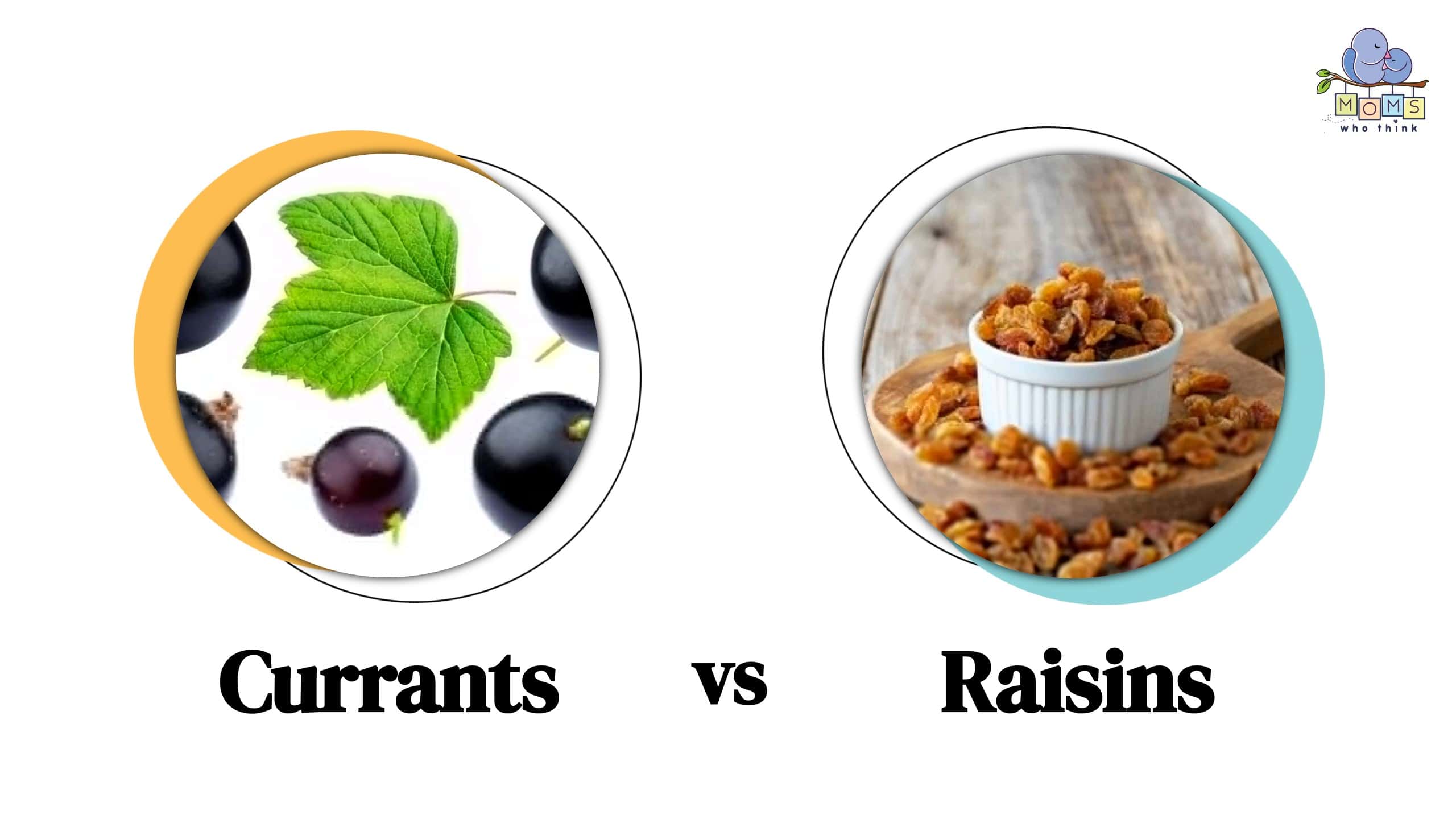 Currants vs Raisins