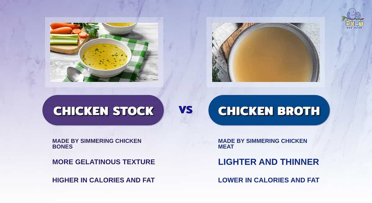 Infographic comparing chicken stock and chicken broth.