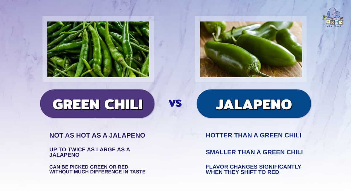 Infographic comparing green chili and jalapeno peppers.