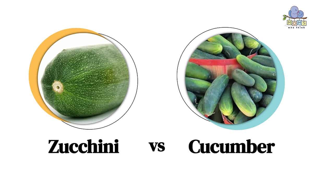 Zucchini vs Cucumber