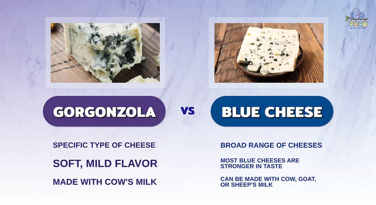 Infographic comparing gorgonzola and blue cheese.