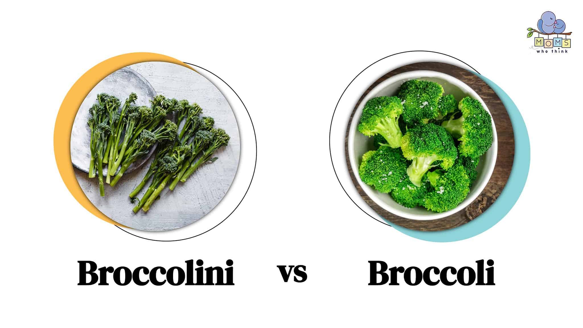 Broccolini vs. Broccoli 4 Key Differences & Nutrition Comparison