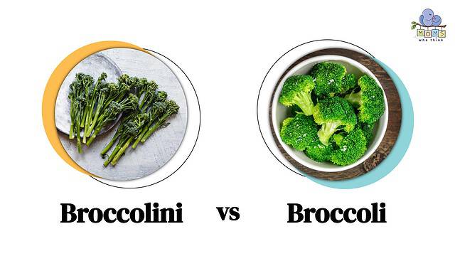 Broccolini vs Broccoli