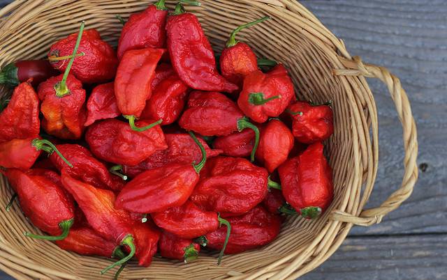 Ghost Pepper, Chili Pepper, Ghost, Agriculture, Basket
