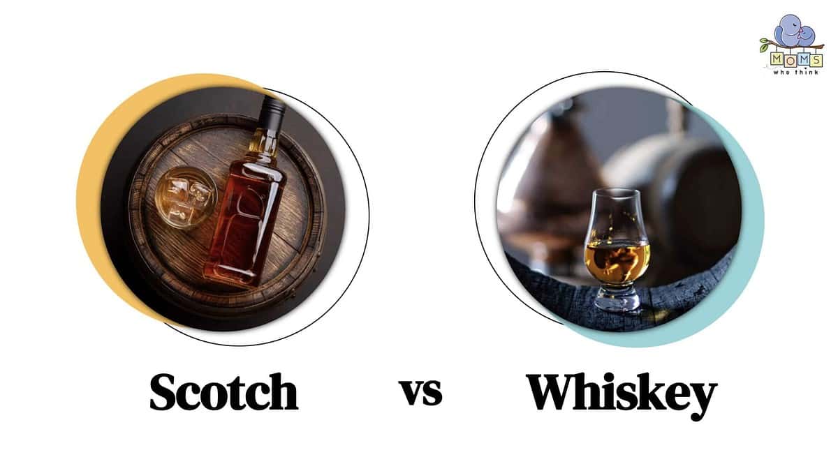 Scotch vs. Whiskey