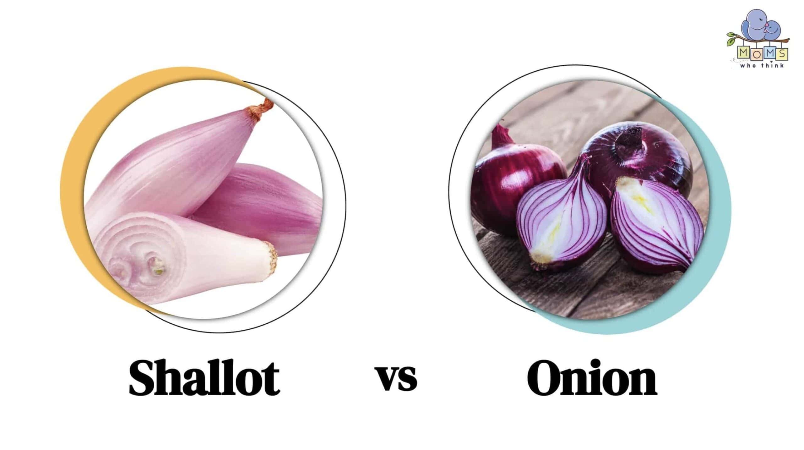 Shallot vs. Onion