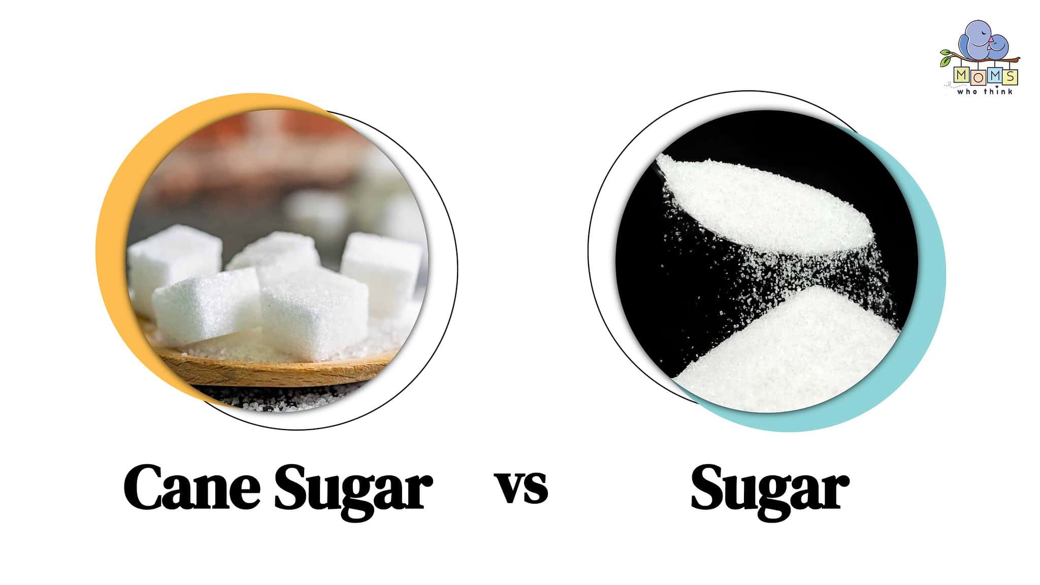 Cane Sugar vs. Sugar What are the Differences & Which is Healthier? Moms Who Think