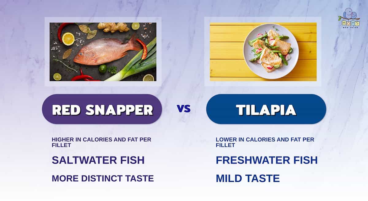 Infographic comparing red snapper and tilapia.