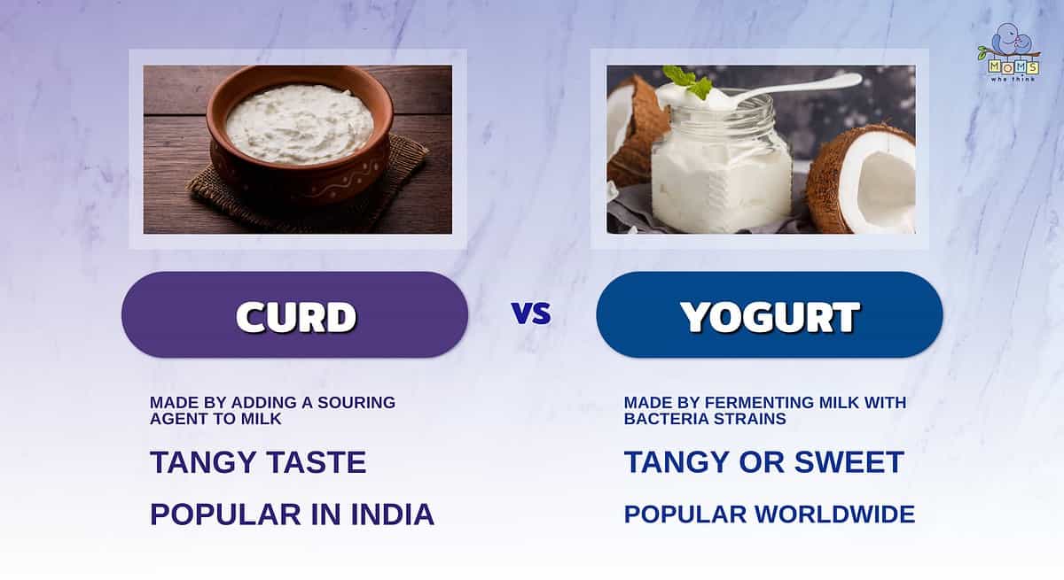 Infographic comparing curd and yogurt.