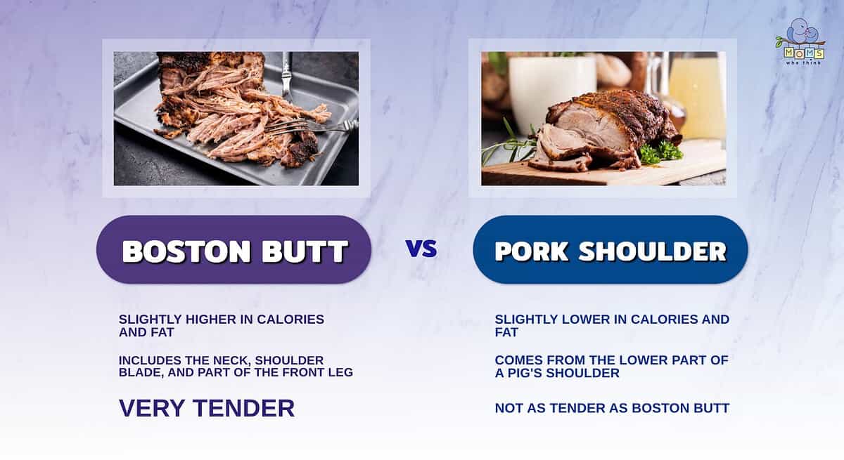 Infographic comparing Boston butt and pork shoulder.