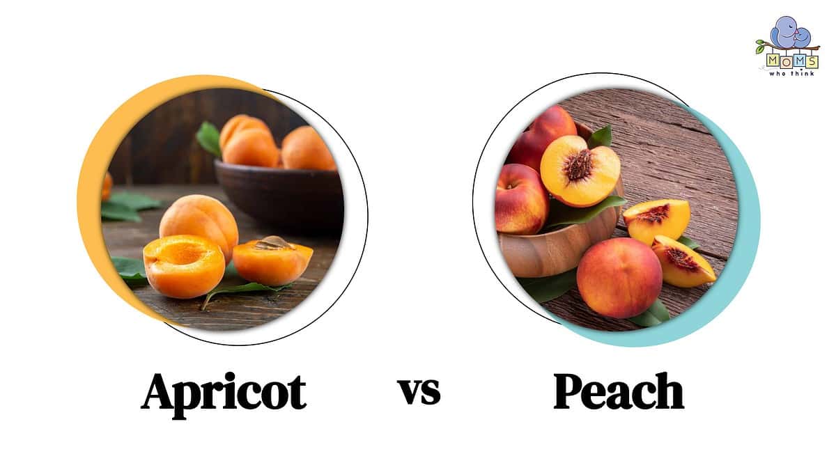 Apricot vs Peach