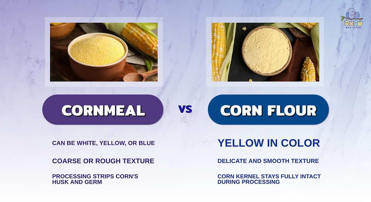 Infographic comparing cornmeal and corn flour.
