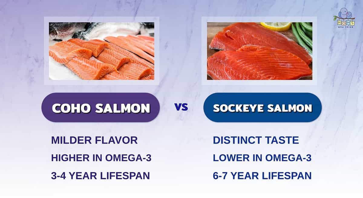 Coho Salmon vs. Sockeye Salmon: What’s Tastier, Healthier, and Better for You?