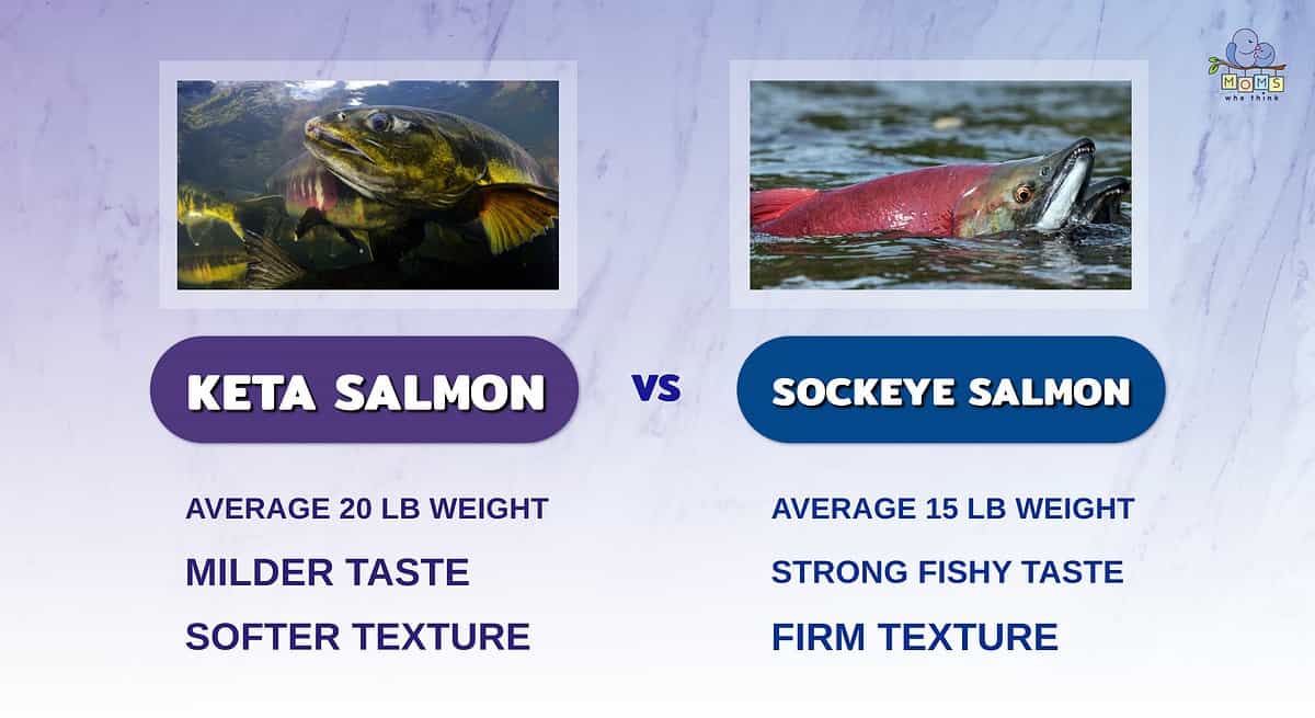 Keta Salmon vs Sockeye Salmon