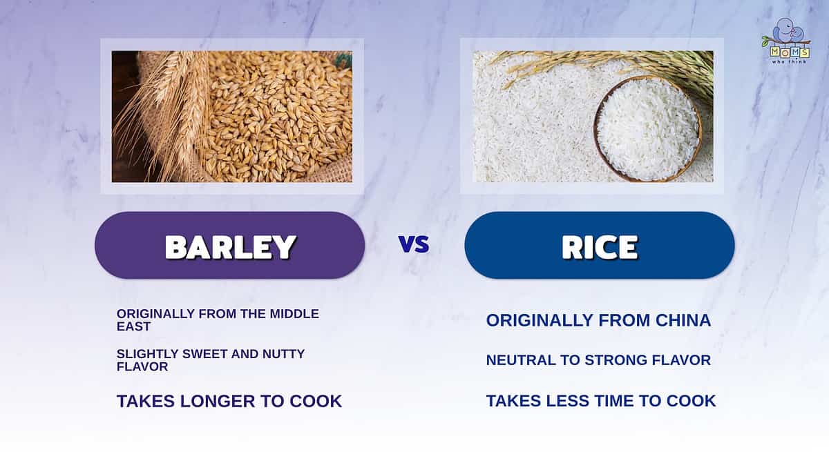 Infographic comparing barley and rice.