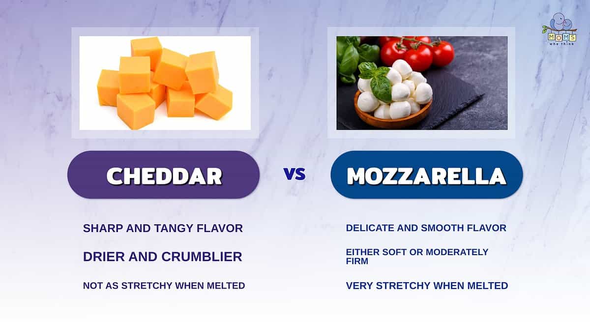 Infographic comparing cheddar and mozzarella cheese.