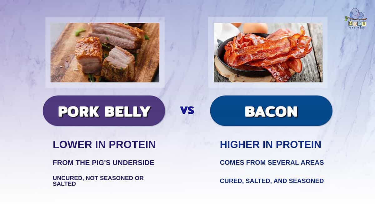 Infographic comparing pork belly and bacon.