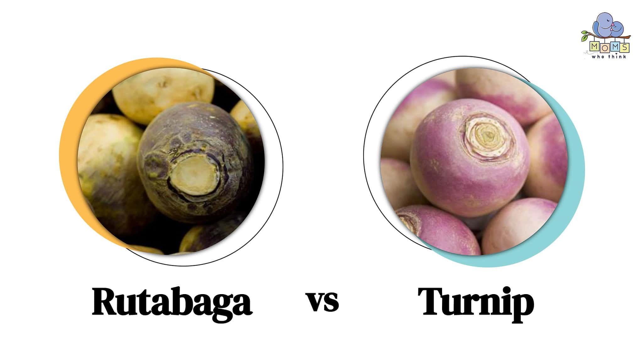 Rutabaga vs. Turnip Taste Differences & When to Cook With Each