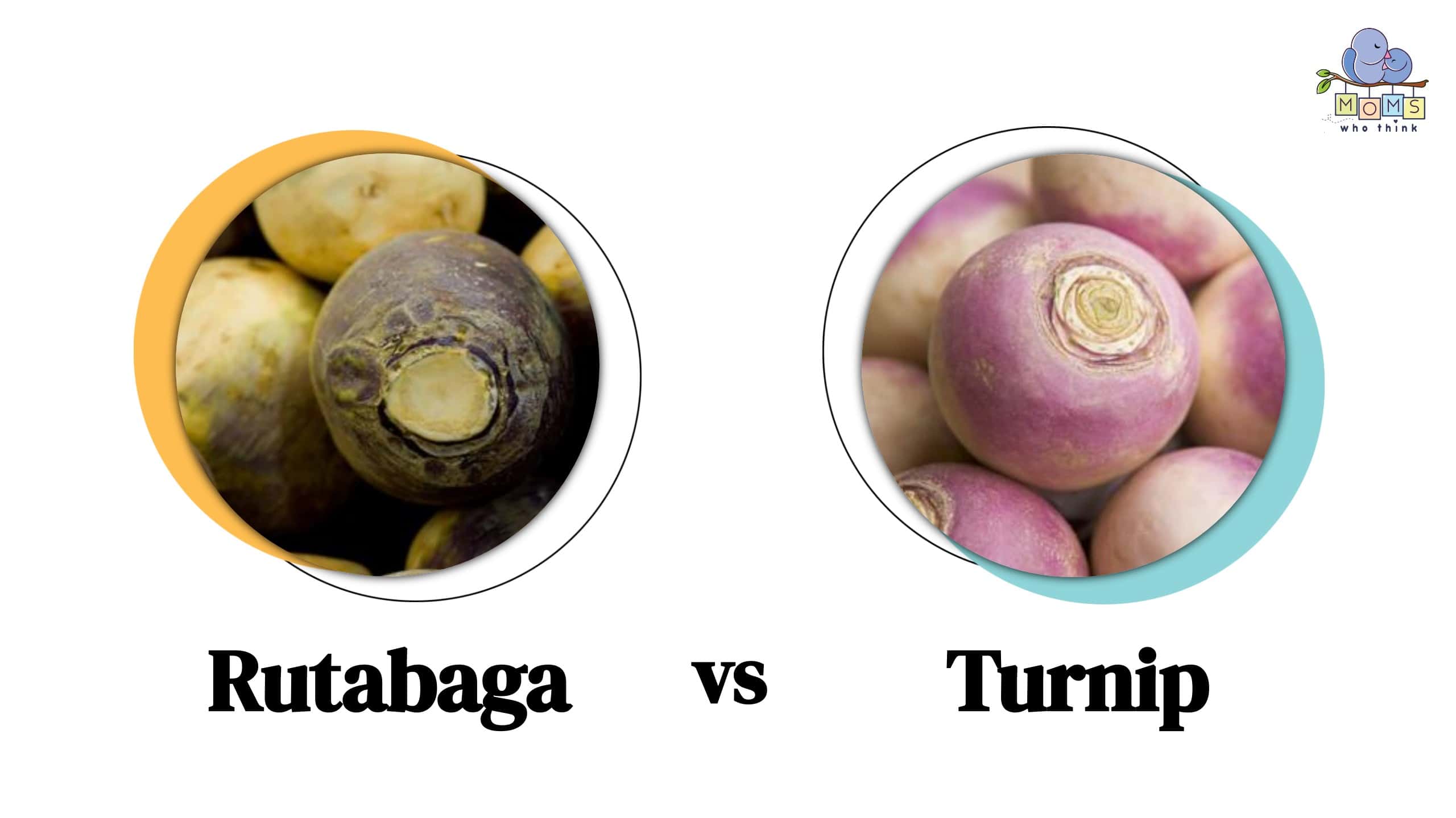 Rutabaga vs Turnip