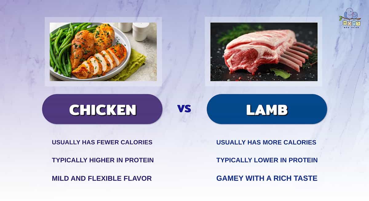 Infographic comparing chicken and lamb.
