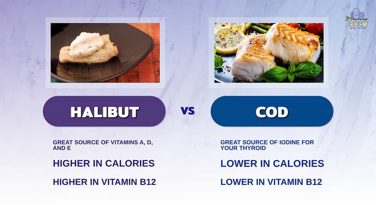 Infographic comparing cod and halibut.