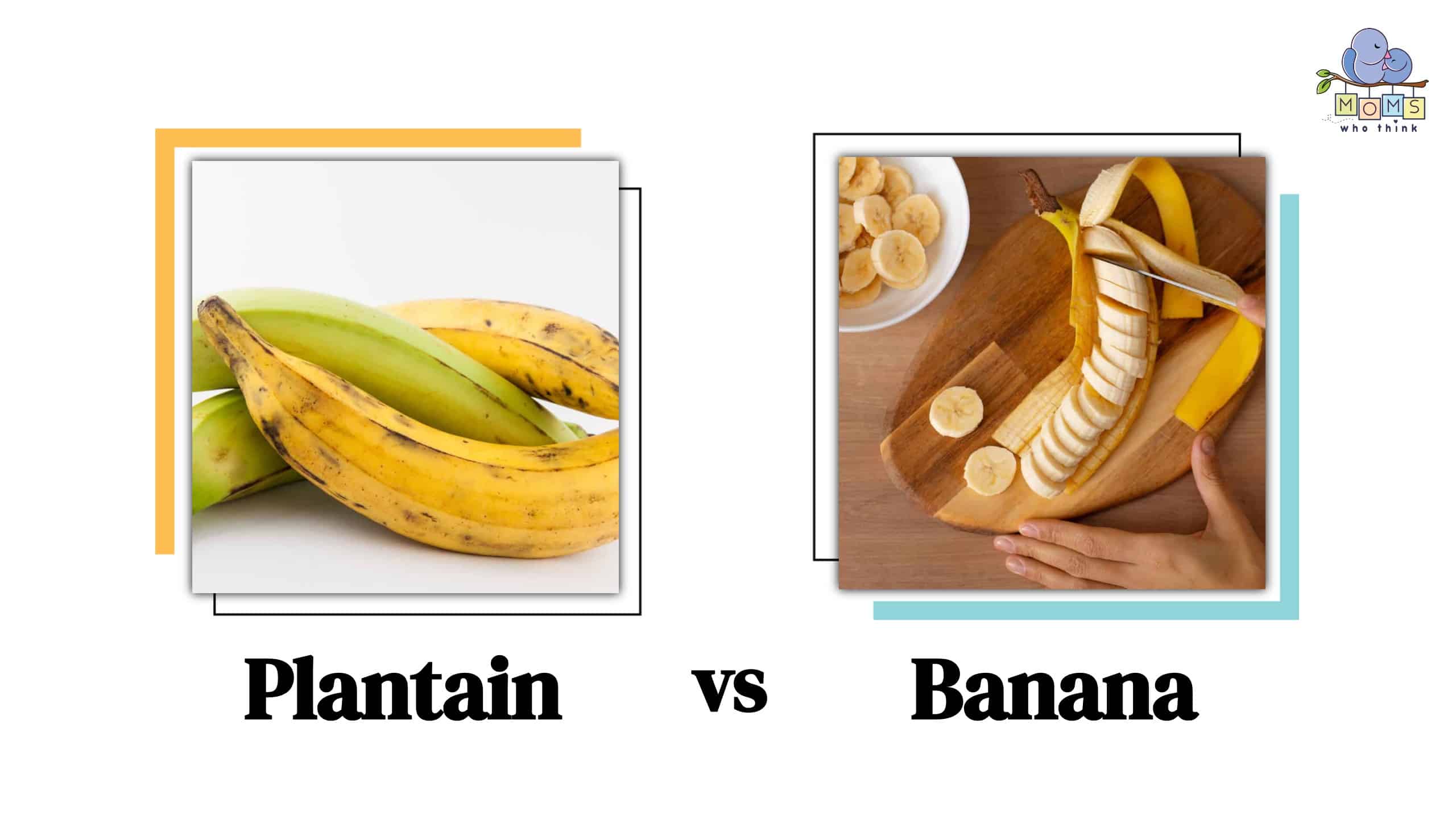 Plantain vs Banana