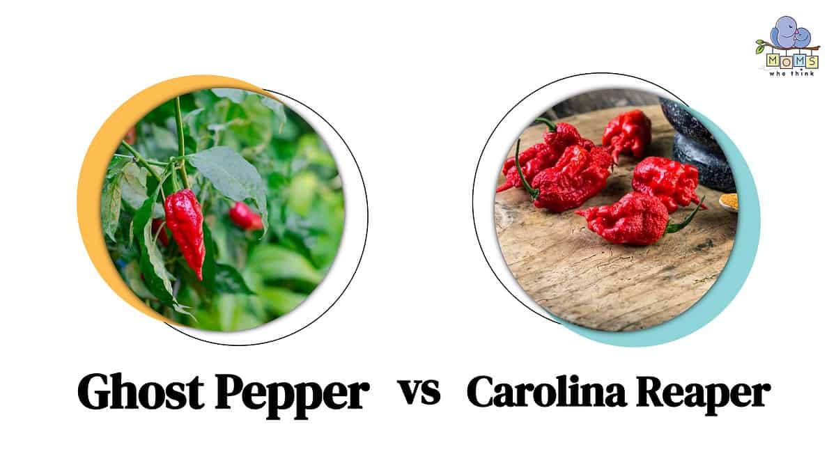 Ghost Pepper vs Carolina Reaper