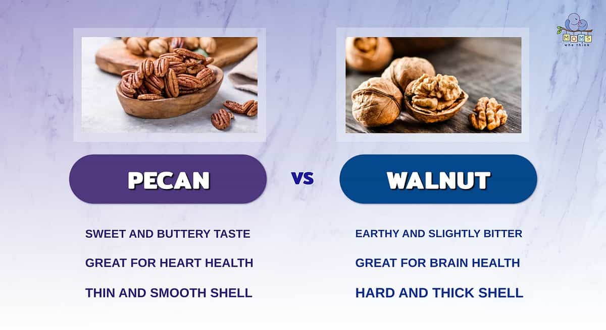 Infographic comparing pecans and walnuts.