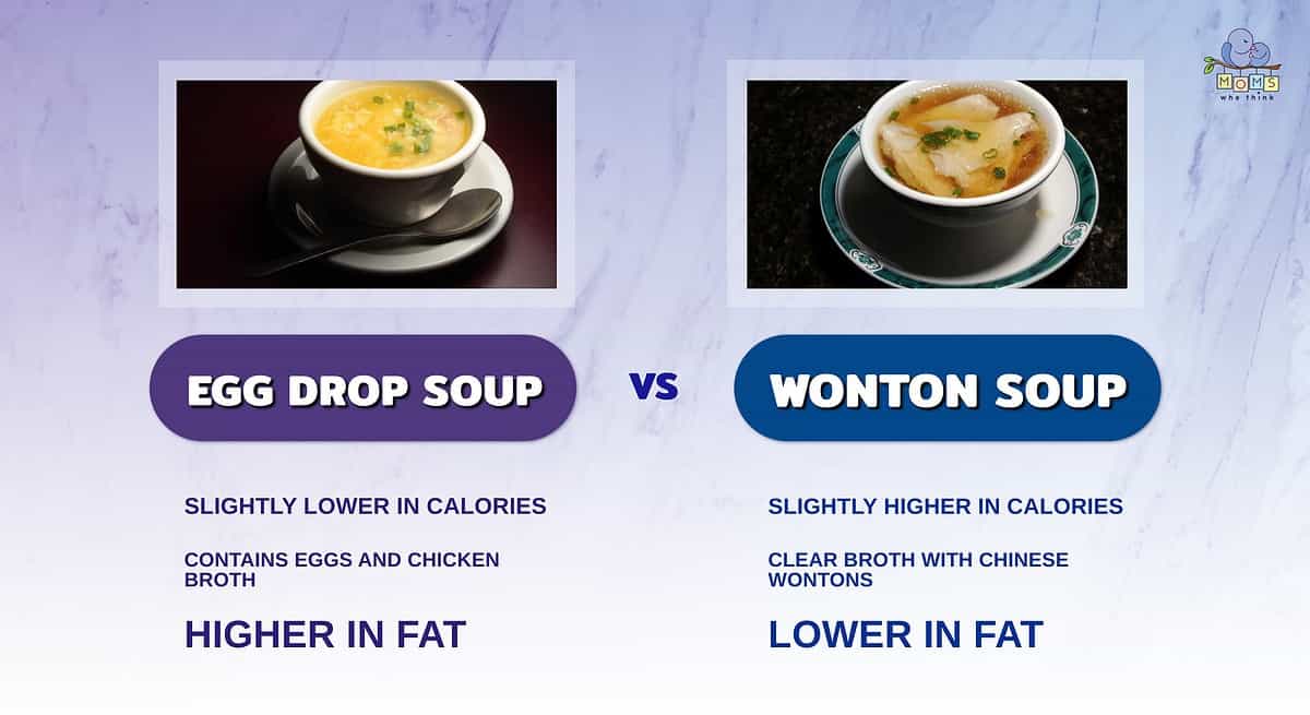 Infographic showing the differences between wonton and egg drop soup,