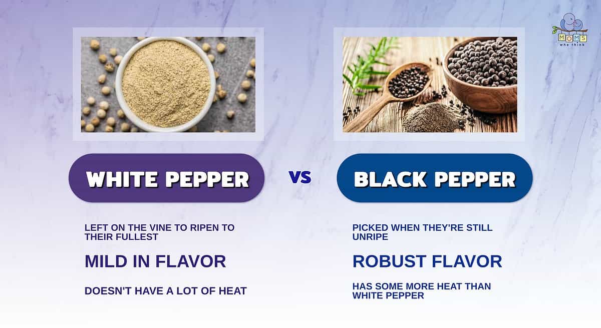 Infographic comparing white and black pepper.