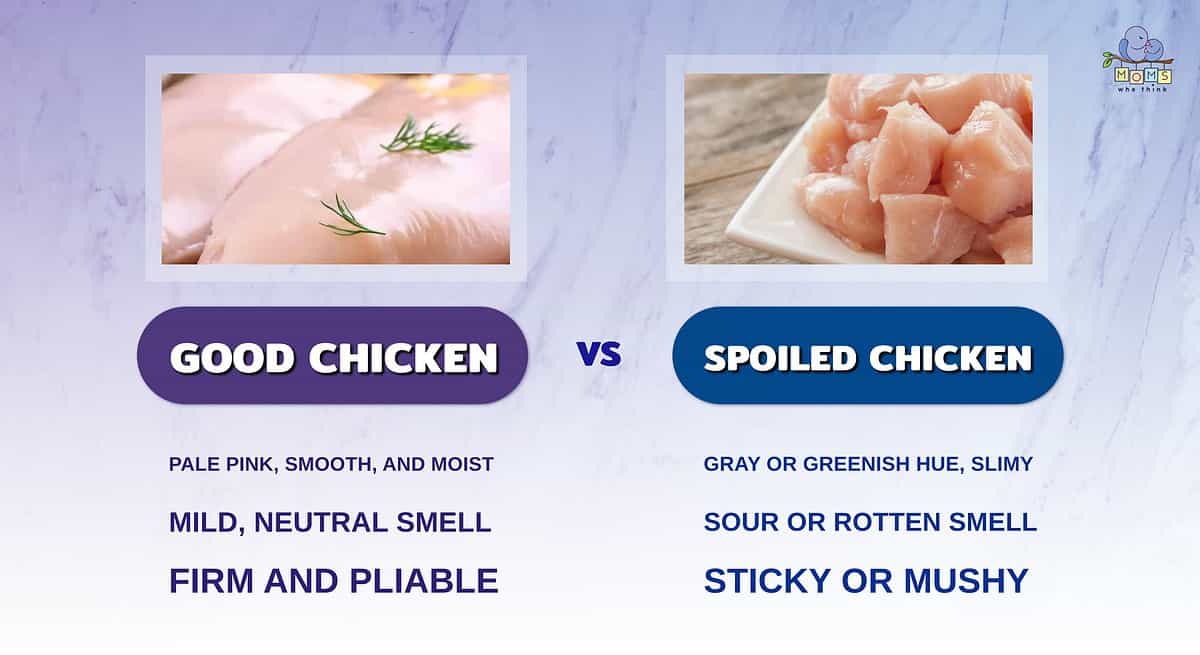 Infographic showing the differences between fresh and spoiled chicken.