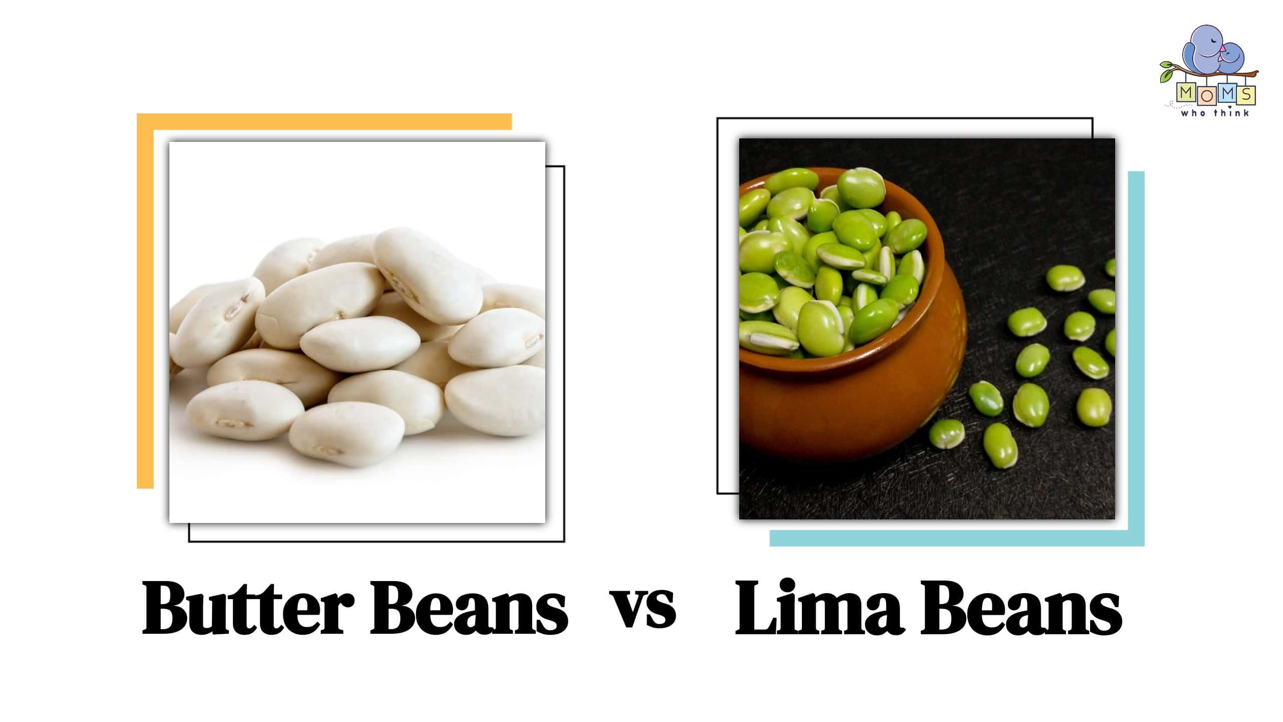 Butter Beans vs Lima Beans